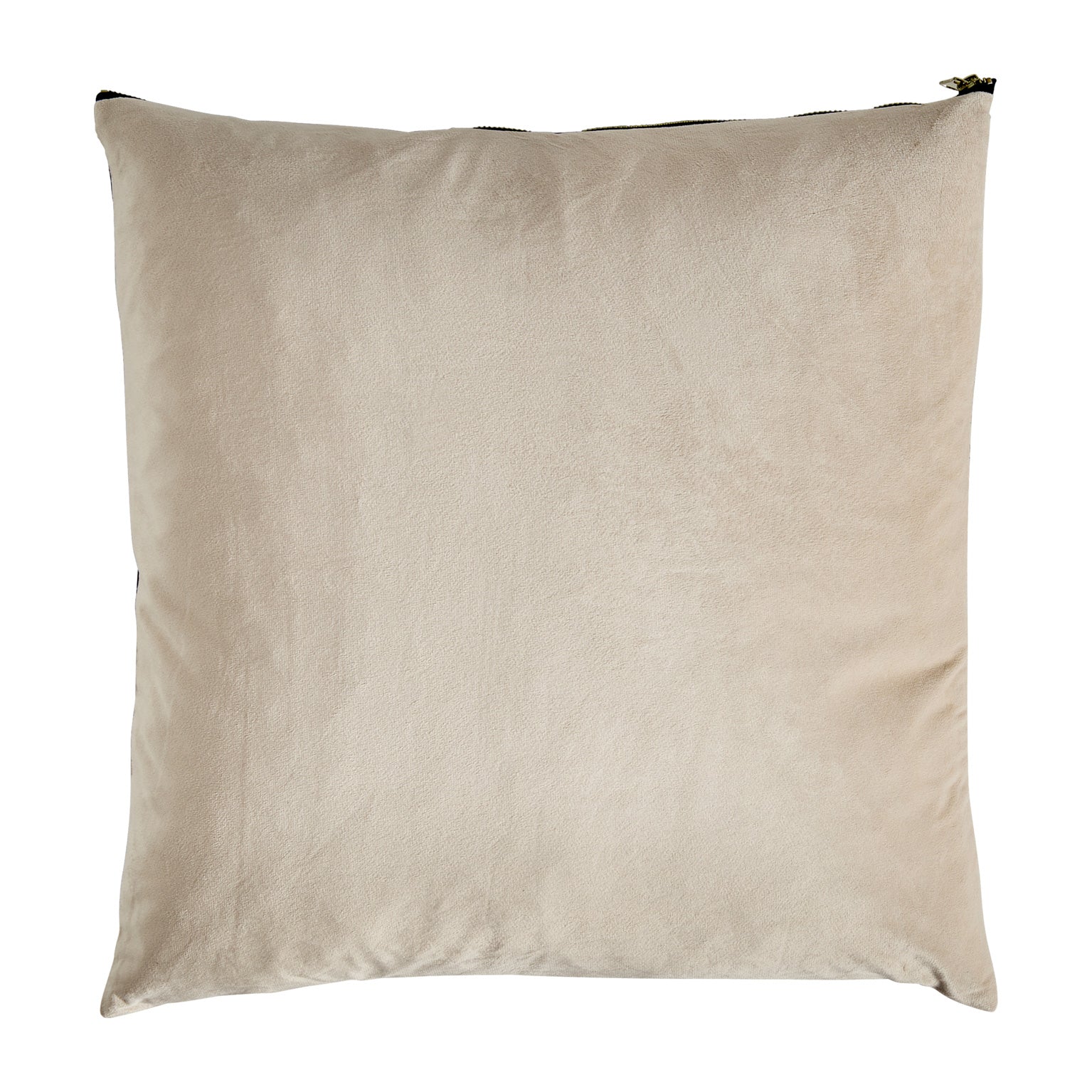 ALE CUSHION